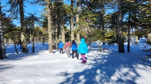 f4d290dc-338b-4e12-816f-8e859bca4530